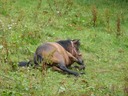 20110718 3974