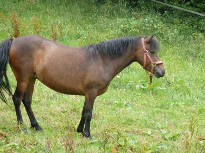 20110718 3976