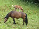20110718 3979