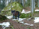 Sunny Spaziergang Traxenberg 20110226 2809